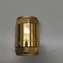 Eastman Brass In-Line Check Valve, 3/4 Inch IPS Threaded Connection, Stainless Steel Spring, 20403LF