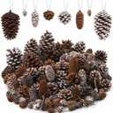 Fovths 66 Pieces Christmas Pine Cones Ornaments with String Natural Rustic Pine Cones Bulk Assorted Sizes Xmas Tree Hanging Pinecone Decoration for Christmas Tree Crafts DIY Gift Party