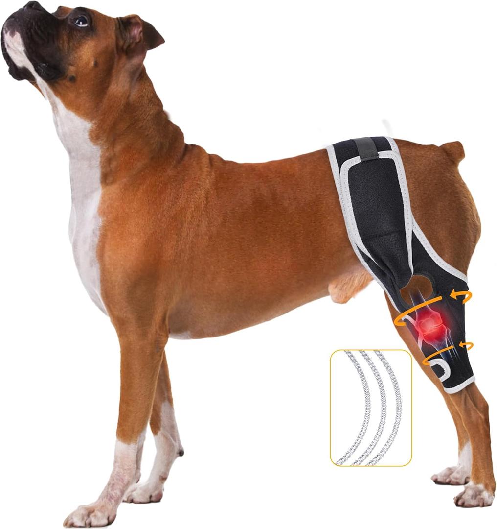 Acl Knee Brace for Dogs  Adjustable Support with Metal Stabilizers for Acl and Ccl Injuries, Joint Pain Relief, Surgery Recovery, and Improved Mobility for Front or Rear Legs, L