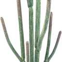 Tall UV Resistant Faux Cactus Plant60in Realistic Texture Tall Fake Plant, Artificial Cactus Large with Black Pot Indoor Outdoor for Home Office Living Room Bedroom Foyer Porch Decor, Size: 60 in