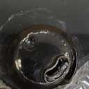 Homedics Deluxe Ultrasonic Humidifier for Large Rooms, Warm or Cool Mist, UV-C Technology, 1.5-Gallon Top Fill Tank, Smart Digital Programmable Humidistat, Home Dry Air Relief, Aromatherapy