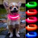 Light Up Collar for Small Dogs& Cats, Reflective LED Dog Collar Rechargeable Puppy Safety Lights for Nighttime Walking (Pink) (XS (8.5-11.8inch / 21.5-30.0cm))