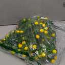 6 Sets Blue Tiles Lemon Table Centerpiece Decor Box and Artificial Lemon Branches Amalfi Coast Capri Positano Lemon Party Supplies for Capri Mediterranean Wedding Birthday Baby Shower Party Decor