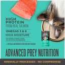 Tiki Cat Solutions Mousse Skin & Coat Mousse, Salmon Recipe, Specially Formulated with Omega Fatty Acids, Functional Wet Cat Food for Adult Cats, 2.4 oz. Pouch (12 Pack)