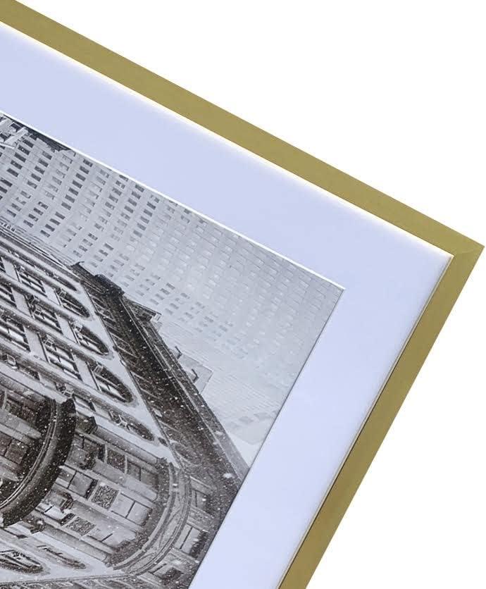 Art Emotion Gold 16x24 Picture Frame – Displays 12x18 Photos with Mat or 16x24 Without Mat, Wall Hanging Photo Frame, 1-Pack