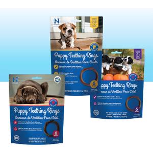 N-Bone Puppy Teething Rings 6 Count Bag Variety Pack, Chicken & Pumpkin & Blueberry BBQ Flavor, Total 3 Bags, 21.6-oz, 18 Rings (EXP 09/01/27)