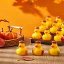 Deekin 24 Pcs Fall Rubber Ducks Acorn 2 Inch Thanksgiving Rubber Autumn Fall Themed Party Favors Bathtub Float Squeak Duck