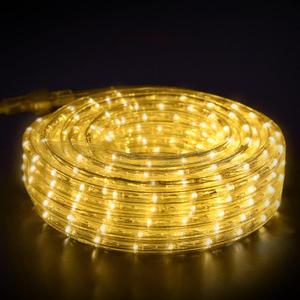 GouTonG LED Rope Lights, Warm White 110V 3000K, Indoor or Outdoor, 20ft, Perfect for Deck, Garden, Patio, Landscape Lighting, Bedroom Dcor, Waterproof, Ideal for Backyards, Decorative Lighting