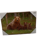 18x12 Bear Lake Printed Glass Frame