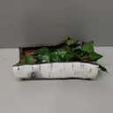 Reptile Hide Large Caves Simulation Tree Hideout Snake Hide Leopard Gecko Terrarium Plastic Plant Leaves Ornament Habitat Shelter Decor for Lizard Hermit Crab Spider Frog Amphibians