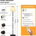 Solar Outdoor Floor Lamp USB Rechargeable Cordless Dimmable RGB Warm White LED Lights for Yard Garden Patio, Black 7"D x 7"W x 59"H