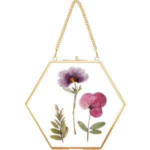 Glass Pressed Flower Frame Handmade, Double Glass, Brass Floating Picture Frames, Wall Hanging Round Picture, for Dried Flowers Home Wall Decor, Hexagon, Gold (FRAME ONLY) (6L" x 7.1W")