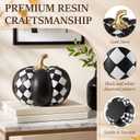 Thyle 8'' Black and White Checkered Pumpkins Fall Decoration