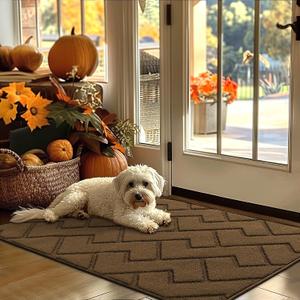 hicorfe Indoor Door Mat,Non Slip Door Mats,32"x48" Front Back Door Mat Rubber Backing,Absorbent Resist Dirt Entrance Inside Floor Mats for Entryway Washable Low-Profile(Dark Brown)