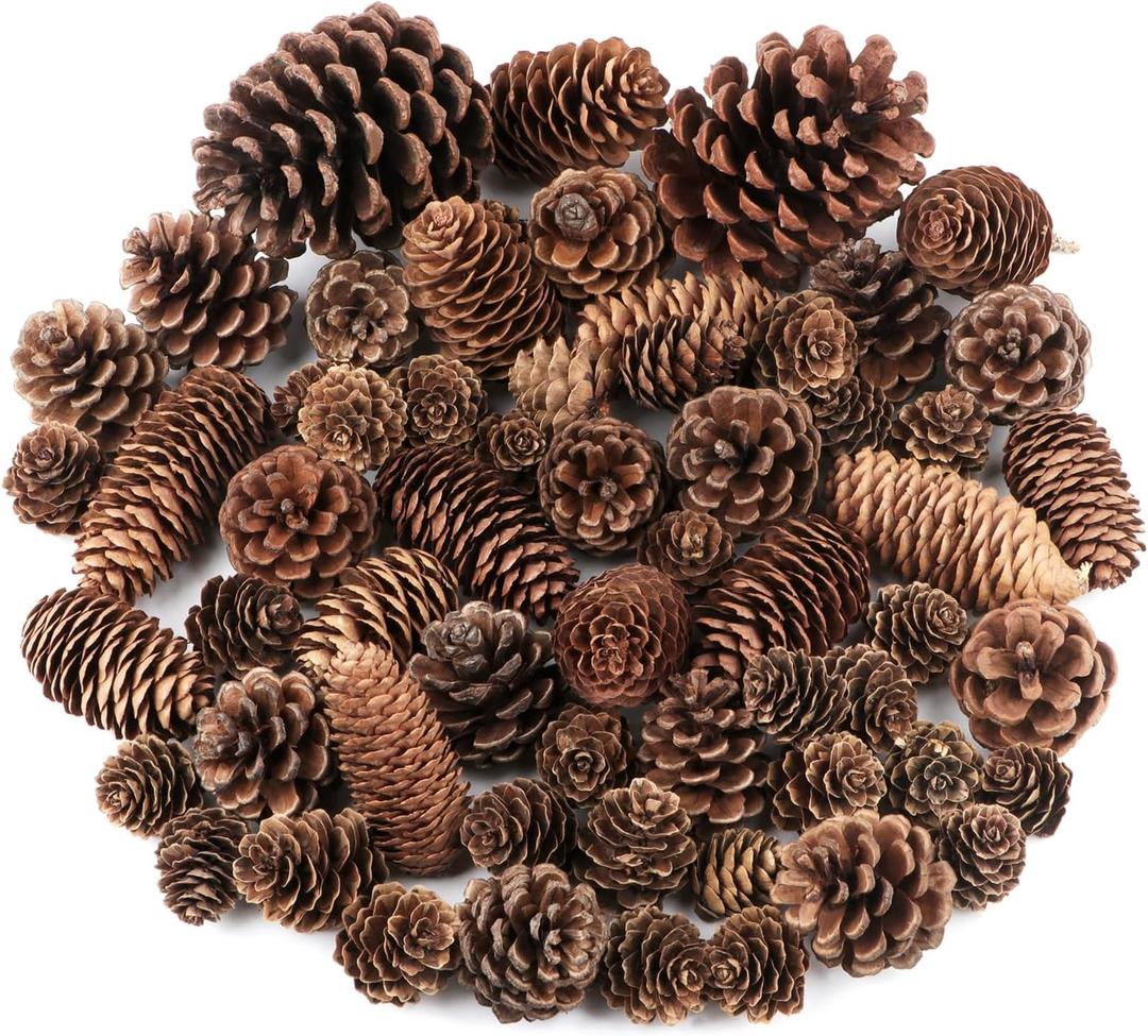 Jangostor 60 Pine Cones Decorations - Natural Bulk Package, Large Medium & Mini Sizes - Rustic Pine Cone Ornaments for Table, Christmas Tree, Crafts, Gifts, Thanksgiving, Xmas Home Decor