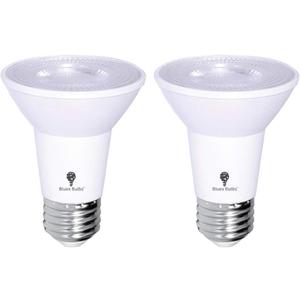 2 Pack PAR20 Outdoor LED Flood Light Bulb 8W 75 Watt Equivalent 500 Lumens Dimmable Waterproof E26 5000K Cool White LED Flood Light Bulbs for Security Led Spotlight Indoor Led Recessed Light Bulbs