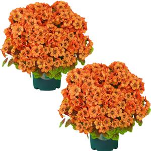 QIANYUN Artificial Topiary for Outdoors- 20 Potted Plant Fake Geraniums Bush-UV Resistant Artificial Outdoor Plant for Front Porch, Garden, Yard, Patio Decor (Light Orange)