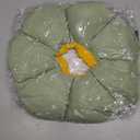 Cat Cone Collar,Cute Waterproof Cat Recovery Collar,Anti-Bite Lick Wound Healing Safety Elizabethan e Collar for Cats,Green Flower All-Season Style