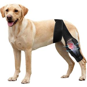 Dog Knee Brace for Torn Acl Hind Leg, Relieves Ligament Injury and Joint Pain, Adjustable Leg Support Bracket for Warmth and Support (Size M)