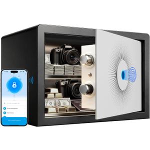 Smart Biometric Safe Box - Fingerprint Lock Box with Bluetooth App & Keys, 0.8 Cu Ft Security Safe for Home, Office, Hotel  Jewelry & Money Storage