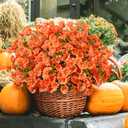 Waipfaru Fall Flowers Artificial for Decoration, 12 Bundles Fake Fall Flowers, UV Resistant Artificial Petunias Plants for Outdoors, Home Decor Planter Porch Decoration, Pot Not Include, Green Orange (Brown)