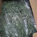 Dingion 1 Pcs 6 ft Christmas Cedar Garland - Artificial Realistic Green Faux Cedar Pine Garland Soft and Thick for Home Table, Mantle, Wall, Door, Indoor & Outdoor Christmas Party Decorations