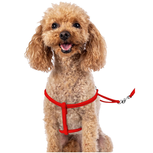 CollarDirect Rolled Leather Dog Harness Small Puppy Step-in Leash Set for Walking Pink Red White Blue Green Black Purple Beige Brown Yellow (Red, S)
