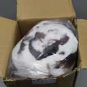 Faux Fur Throw Blanket for Couch, Fluffy Fuzzy Plush Bubble Blanket, Soft Warm Cozy Shaggy Rabbit Blanket, Luxury Decorative Gifts for Sofa Bedroom Living Room, 60x80inch (Cow Print-Brown)