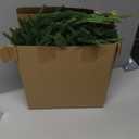 6 FT Real Touch Christmas Norfolk Pine Garland - Artificial Christmas Garlands Faux Cedar Fake Pine Needles Garland for Fireplace,Table, Stairs, Mantle, Window,Indoor Outdoor,Home,Holiday Decor