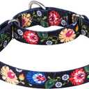 Serijoars Adjustable Martingale Dog Collar Heavy Duty Nylon Dog Collar for Medium Large Dogs Walking Training Boy and Girl Dogs (XL, Black)