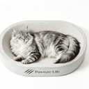Extra Large Cardboard Cat Scratching Bed, White 21.7" x 15.0" Oval, No Assembly, Durable Scratch Lounge, For Indoor Cats, Maine Coon & Large Breeds