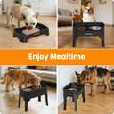 URPOWER 3-in-1 Elevated Dog Bowls - Mess Proof Double Deck 4 Height Adjustable Raised Stand with Stainless Steel Bowl & Slow Feeder Bowl for Small, Medium & Large Dogs