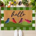 2 Pcs Spring Coir Doormats Hello Birds Welcome Outdoor Spring Door Mats Layered Front Door Rugs Non Slip Floor Mats for Porch Entryway Indoor Outdoor Decor