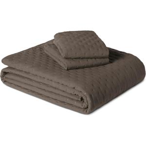 Amazon Basics Brushed Microfiber Quilt Set, Extra Soft with Natural Texture, 3-Piece, Queen/Full, Brown