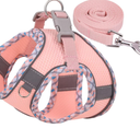 Petank Dog Harness for Small Medium Dogs No Pull, Puppy Harness and Leash Set, Step in Dog Harness for Walking, Running, Training, Small Dog Vest, Medium Dog Vest (Pink, M)