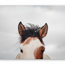 JLA Home It's in the Eyes Printed Canvas - 28 x 22 in