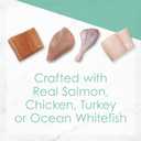 Purina Fancy Feast Tender Ocean Whitefish, Turkey, Chicken and Salmon Feasts Wet Kitten Food Variety Pack - (Pack of 24) 3 oz. Boxes (EXP 10/31/27)