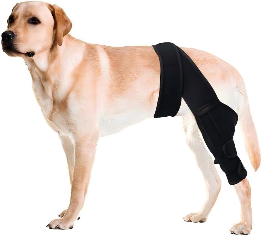 Dog Knee Brace for Torn ACL Hind LegComfortable and Adjustable Support Brace with Two StabilizerDog Leg Braces for Back Leg with Extra SupportArthritis Relief and Surgery Recovery (L)