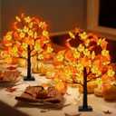 Fall Decor 2 Pack 24 Inch Prelit Fall Maple Tree with 48 LED Lights Battery Operated Timer Light Up Artificial Maple Acorn Tree for Fall Thanksgiving Tabletop Home Indoor Halloween Decor