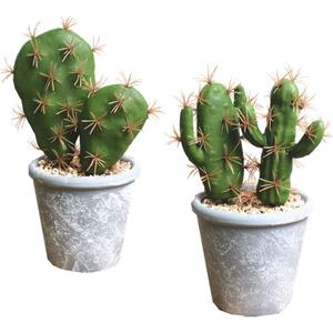 Fcooler Artificial Succulent Plants Faux Cactus Decorative Potted Fake Cacti with Pots Rock Sand Included Artificial Plants for Bathroom/Home Decor House Decorations(A Set)