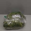 KMUSET Super Soft Throw Blanket Premium Silky Flannel Fleece Twin Size Green Microfiber Lightweight Blanket All Season Use,60X80 inches