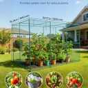 VEVOR Crop Cage, 9.5 x 6.36 x 6.36 ft Plant Protection Tent with Zippered Door, Wind-Resistant Tall Crop Cage, Easy to Install, Outdoor Raised Bed Cover, Tomato Plant Netting for Garden Patio Lawn