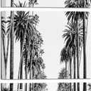 LevvArts Los Angeles Street Picture Canvas Prints Black and White Palm Trees Photography Wall Art Modern Bathroom Bedroom Decor