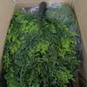 2 Pack 24Artificial Topiary Ball Tree with Spike Soft Cypress Realistic Faux Cedar Pines Christmas Trees UV Rated Fake Shrubs for Christmas Pot Fillers Front Door Porch Indoor Outdoor Xmas Decor