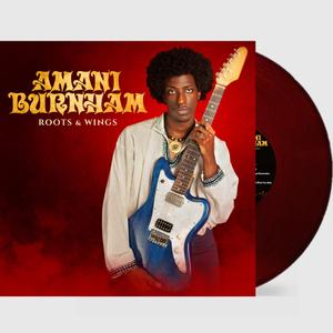 Amani Burnham Roots & Wings (Vinyl)