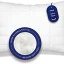 Casper Sleep Essential Quilted Select Pillow, Standard