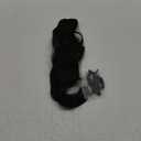 Synthetic Clip in Hair Extensions, 6 PCS Natural & Soft Hair & Blends Well Hair Extensions, Dark Brown Long Wavy Hairpieces(20inch, 6pcs, Dark Brown)