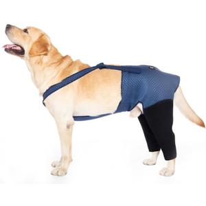 Coodeo Dog Recovery Suit, Cone Collar Alternative, Abrasion Resistant Dog Recovery Rear Sleeves, Washable 2.5mm Thick and Waterproof, Pet Wounds Prevent Licking, Biting (M, Blue)