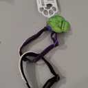 EXPAWLORER Soft Velvet Safe Cat Collars for Girl Cats -2 Pack Rhinestones Bling Diamante Adjustable Collars Breakaway- Chirstmas Cat Clollar Gifts with Bells for Boy Cats Kitty and Small Dogs