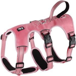 FEimaX Dog Harness No Pull Soft Padded Dog Vest with 3 Leash Clips and Easy Control Handle Reflective Adjustable No Choke Pet Harnesses for Medium and Large Dogs Training Walking (Pink, Small)